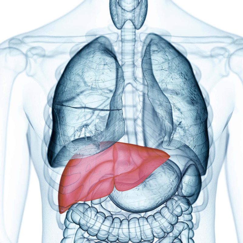 Hemochromatosis DNA Test  Image 
